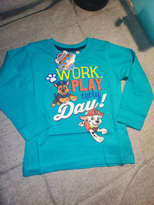 Langarmshirt Paw Patrol (grün/blau)